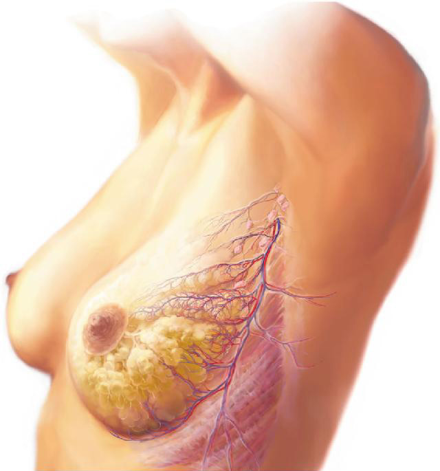 Dr. Νικόλαος Σκαρτάδος M.D. Μαιευτήρας – Χειρουργός Γυναικολόγος