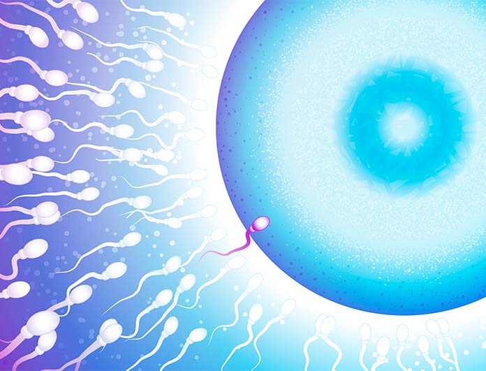 Τεχνικές Υποβοηθούμενης Αναπαραγωγής - Νικόλαος Σκαρτάδος Μαιευτήρας – Χειρουργός Γυναικολόγος, Διδάκτωρ Πανεπιστημίου Αθηνών