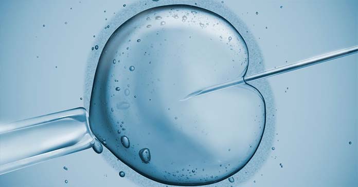 Τεχνικές Υποβοηθούμενης Αναπαραγωγής - Νικόλαος Σκαρτάδος Μαιευτήρας – Χειρουργός Γυναικολόγος, Διδάκτωρ Πανεπιστημίου Αθηνών