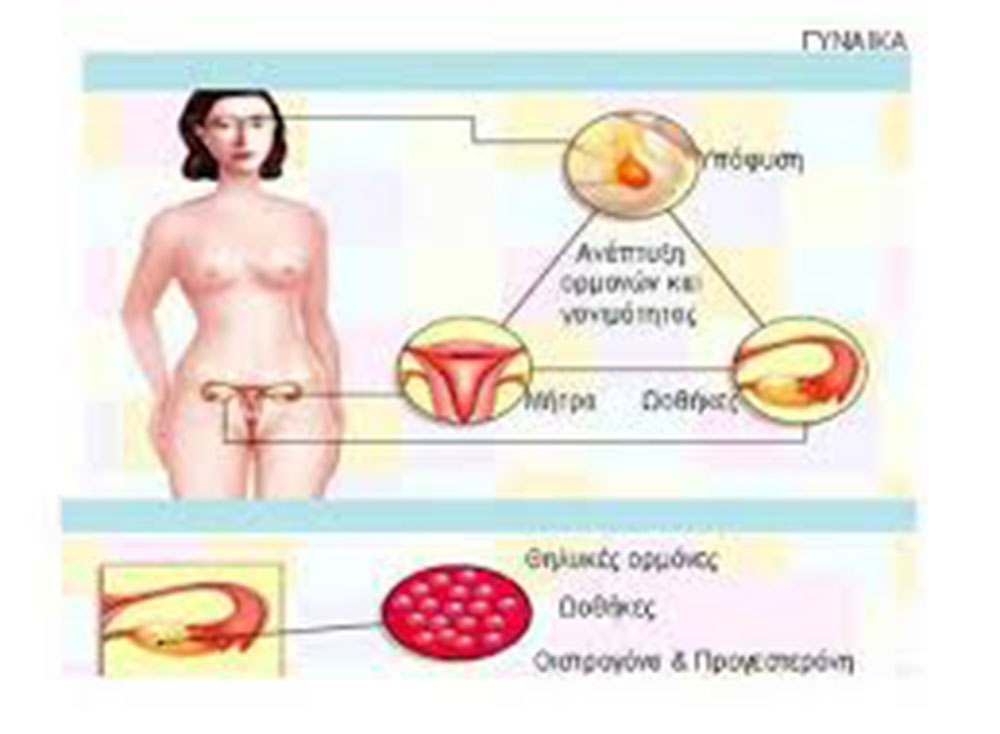 Dr. Νικόλαος Σκαρτάδος M.D. Μαιευτήρας – Χειρουργός Γυναικολόγος